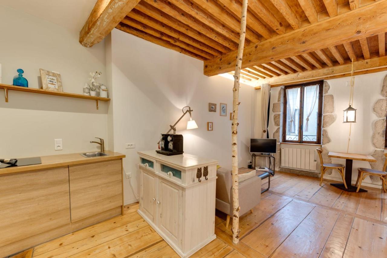 La Cour Filaterie - Suite Of 30 Sq M In The Annecy Breakfast Included Экстерьер фото